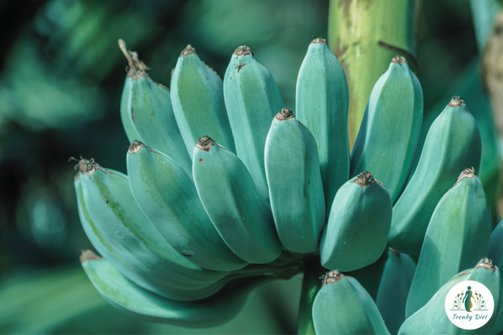 blue java bananas