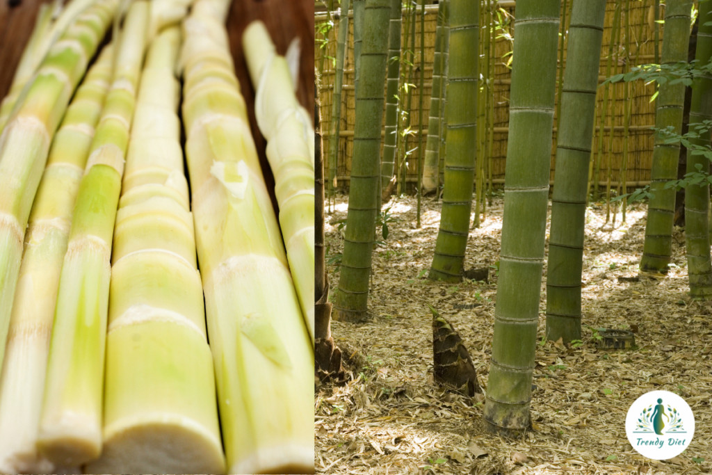 bamboo shoots